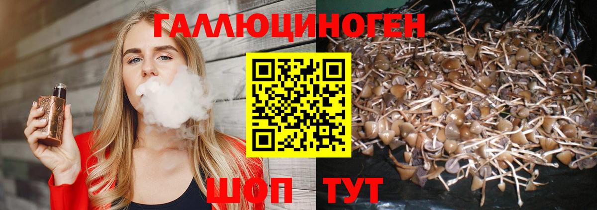 Галлюциногенные грибы мицелий  Вход с VPN  Коломна 